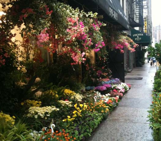 Foliage Garden Store